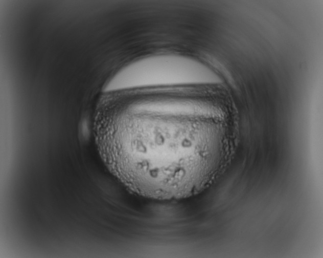 X0000092100069200710031220