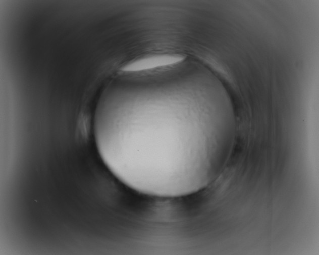 X0000092100070200710031220