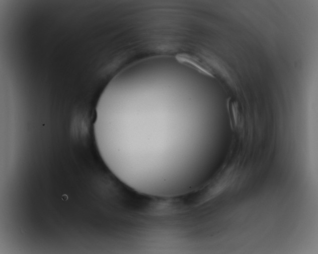 X0000092100072200710031220