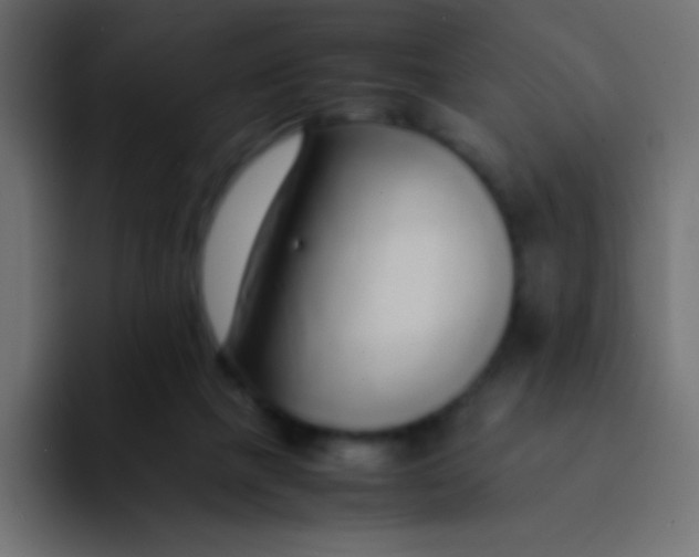 X0000092100073200710031220