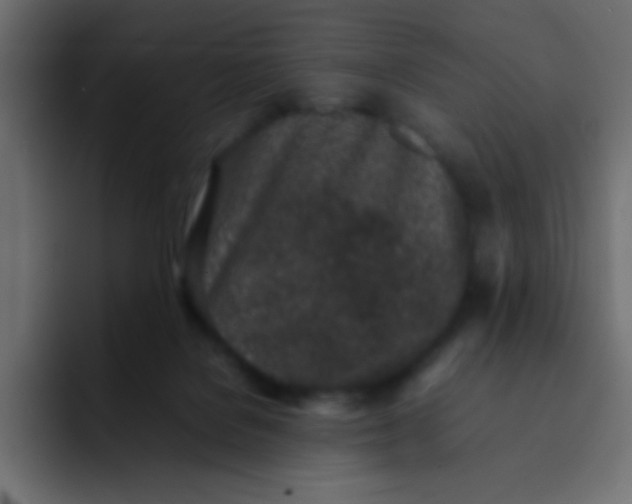 X0000092100076200710031220