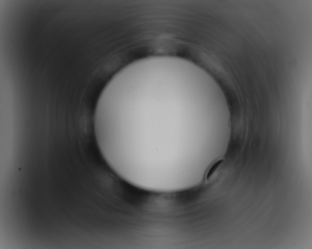 X0000092100078200710031220