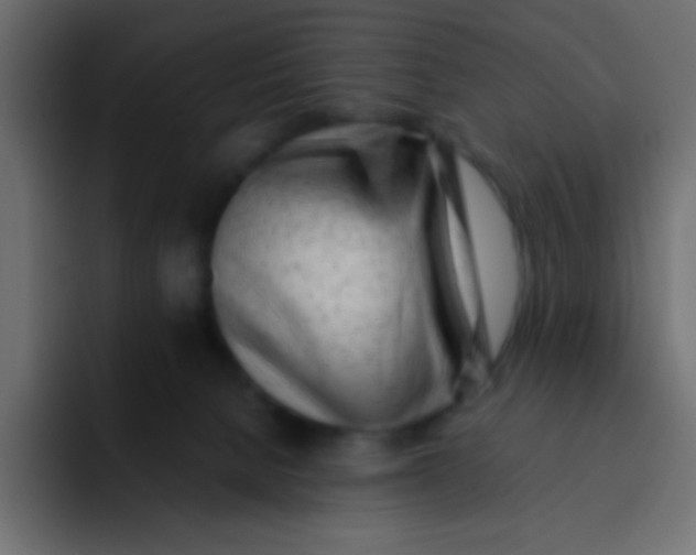 X0000092100080200710031220