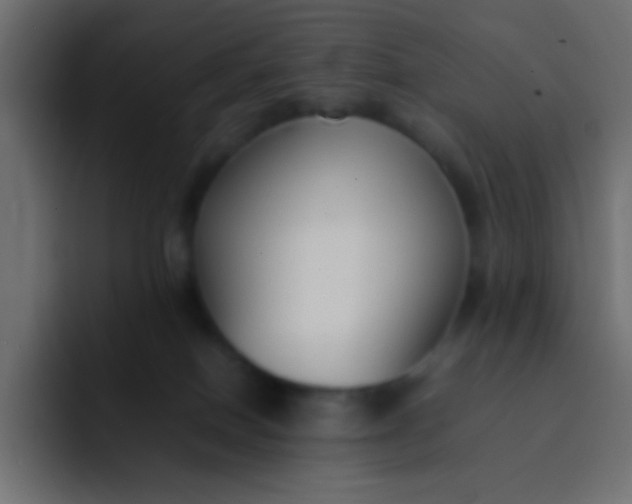 X0000092100086200710031220