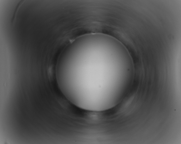 X0000092100088200710031220