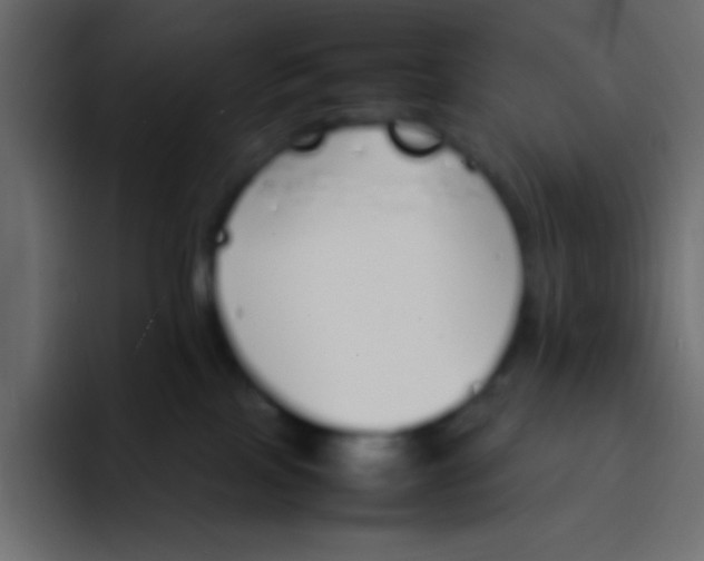 X0000092100089200710031220