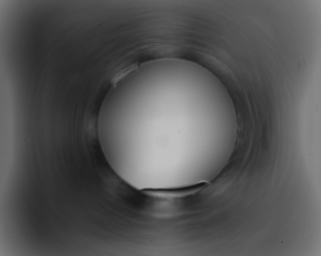 X0000092100096200710031220