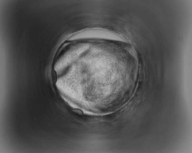 X0000092100099200710031219