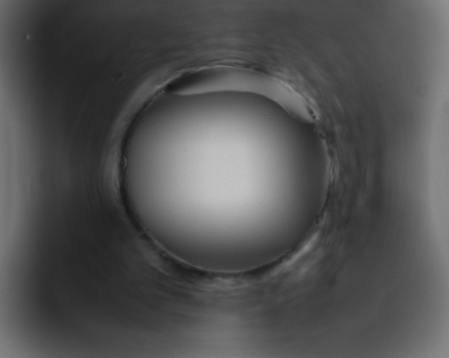 X0000092100101200710031219