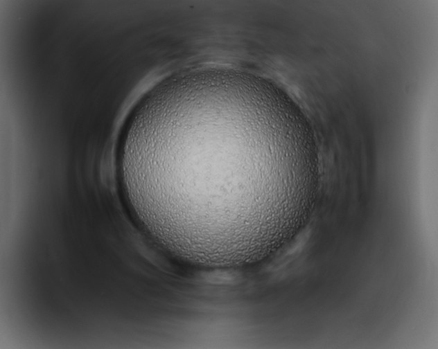 X0000092100102200710031219