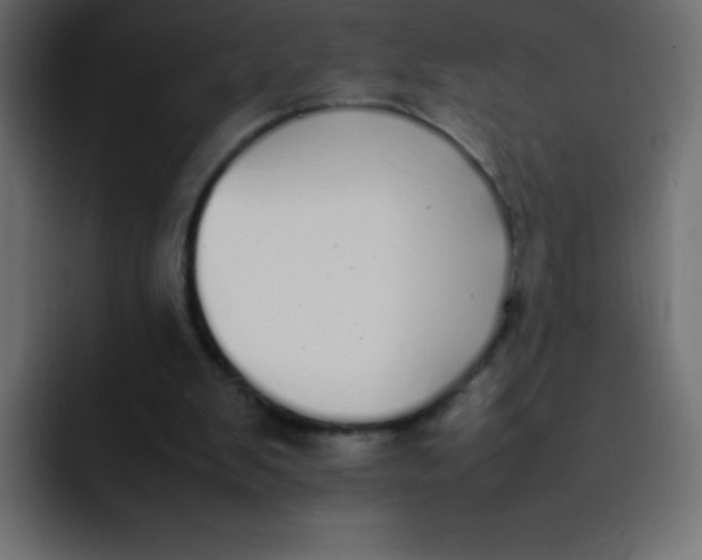 X0000092100103200710031219