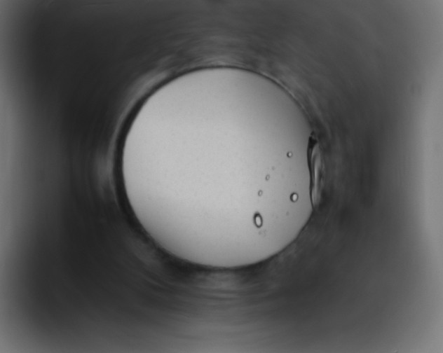 X0000092100104200710031219