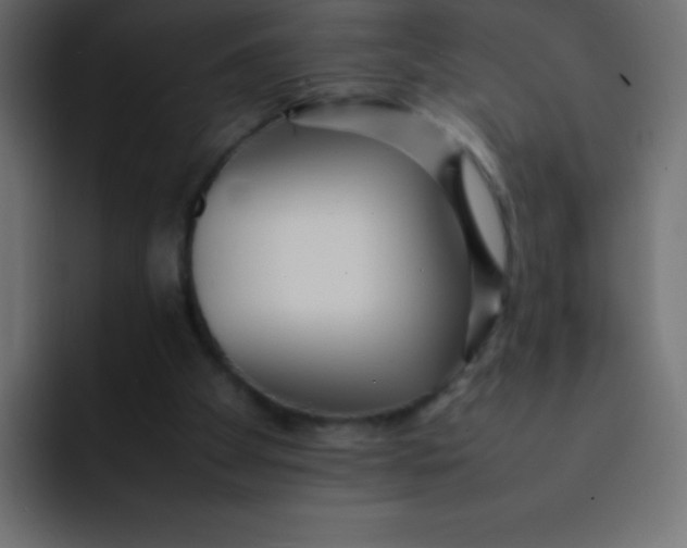 X0000092100105200710031219