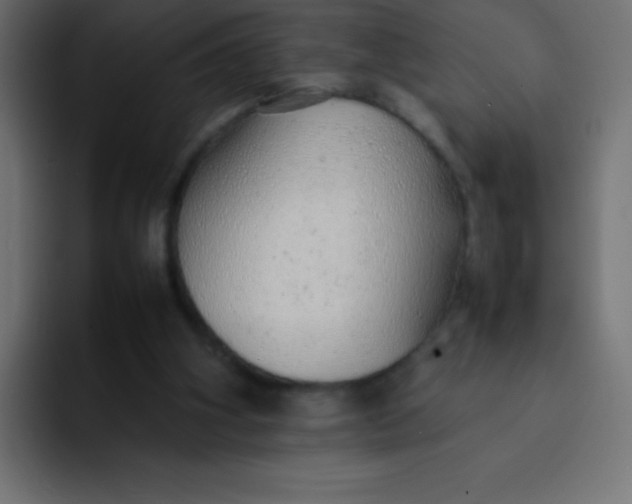 X0000092100106200710031219