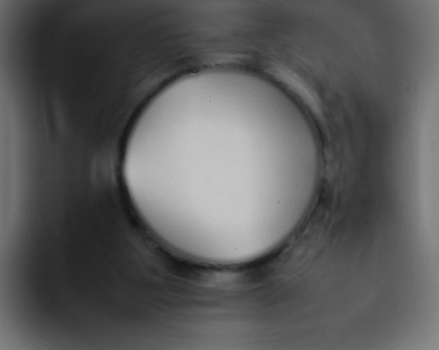 X0000092100107200710031219