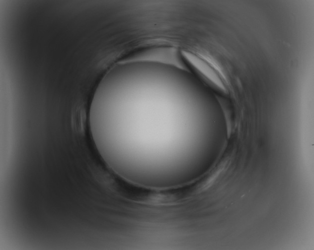 X0000092100109200710031219