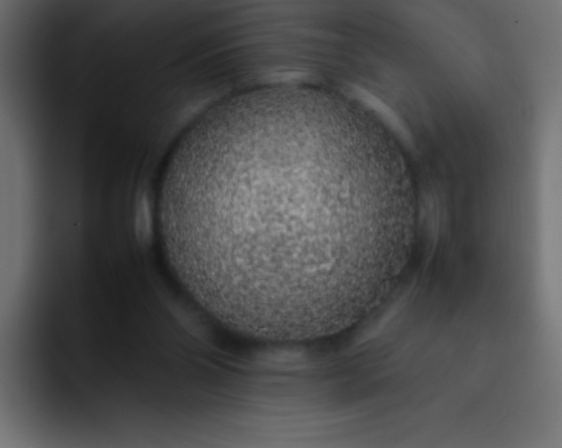 X0000092100110200710031219