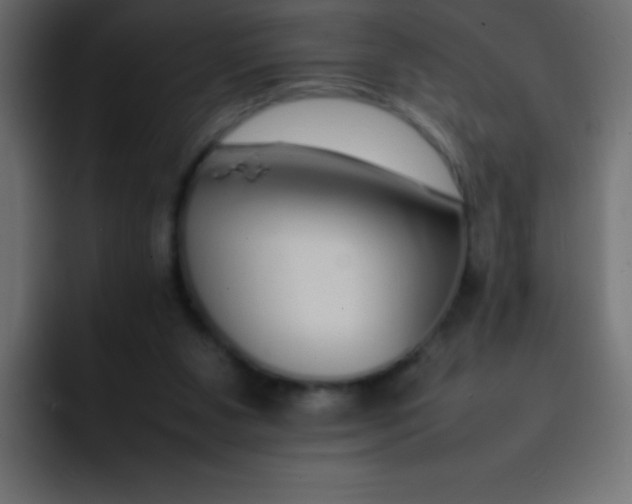 X0000092100111200710031219