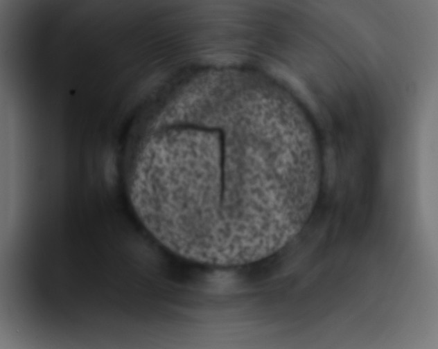 X0000092100114200710031219