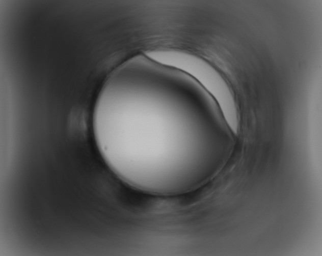 X0000092100115200710031219