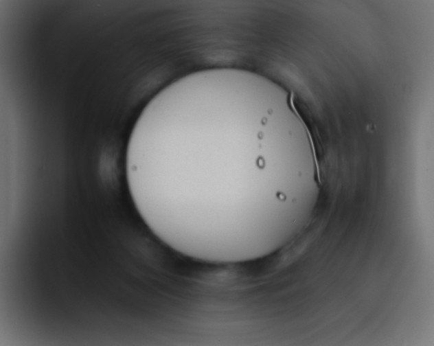 X0000092100116200710031219