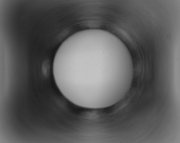 X0000092100120200710031219