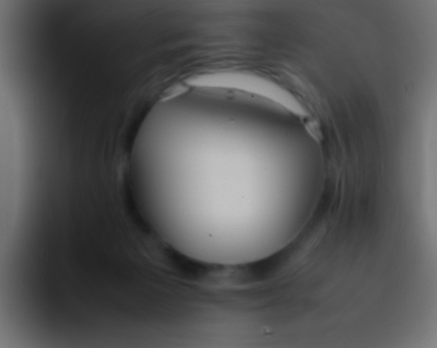 X0000092100125200710031219