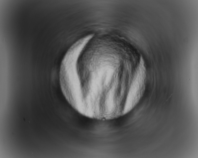 X0000092100127200710031219