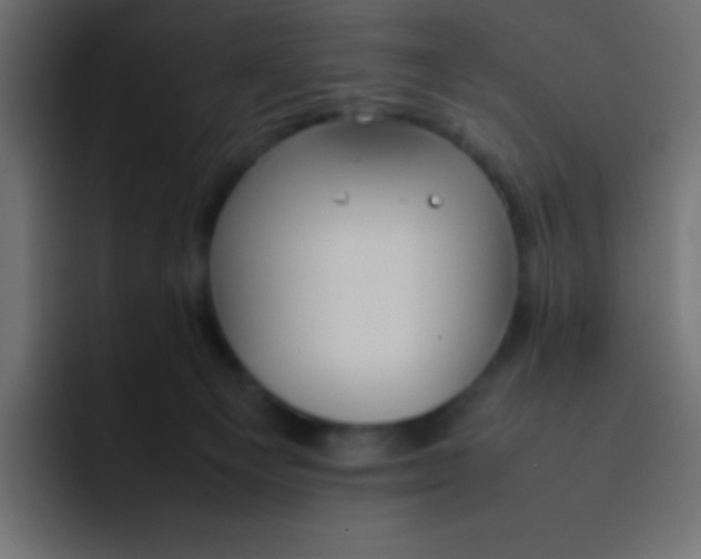 X0000092100129200710031219