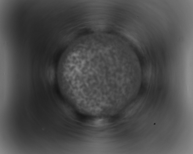 X0000092100130200710031219