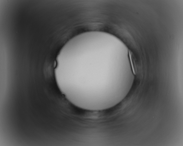 X0000092100131200710031219