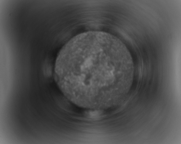 X0000092100134200710031219