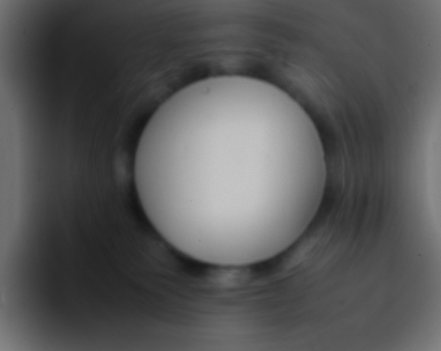 X0000092100135200710031219