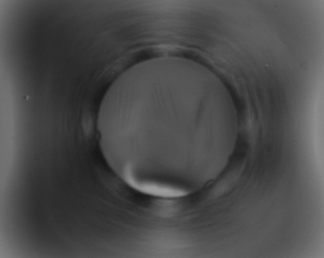 X0000092100139200710031219