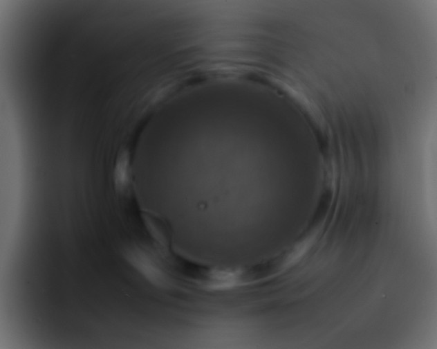 X0000092100143200710031219