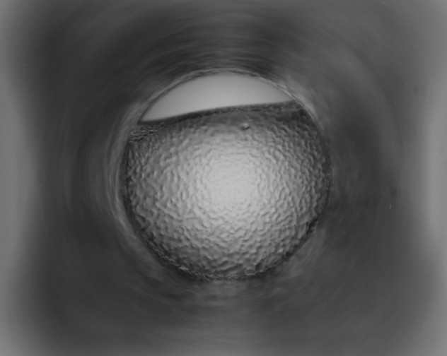 X0000092100145200710031218