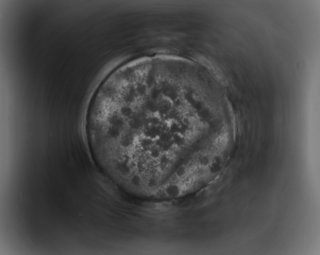 X0000092100147200710031218