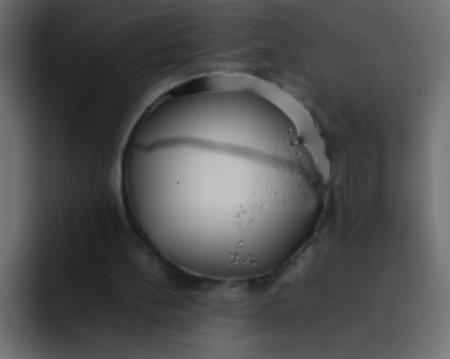 X0000092100148200710031218