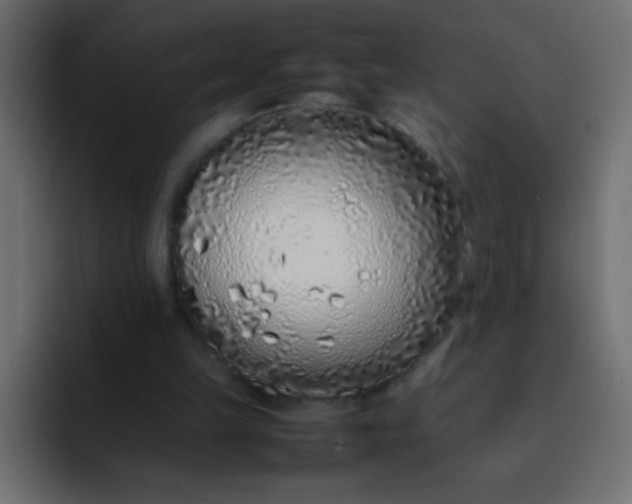 X0000092100149200710031218