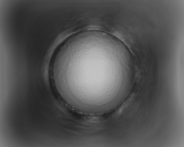 X0000092100151200710031218