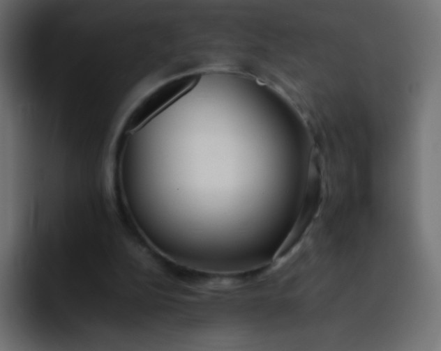 X0000092100152200710031218