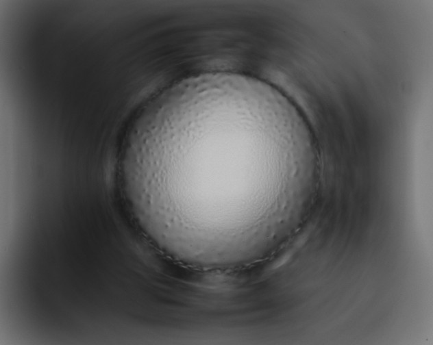 X0000092100153200710031218