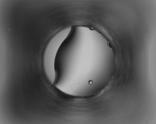 X0000092100154200710031218