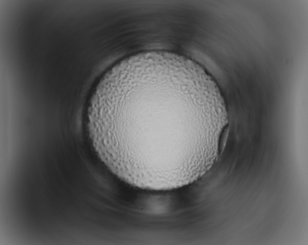 X0000092100155200710031218