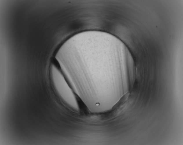 X0000092100156200710031218