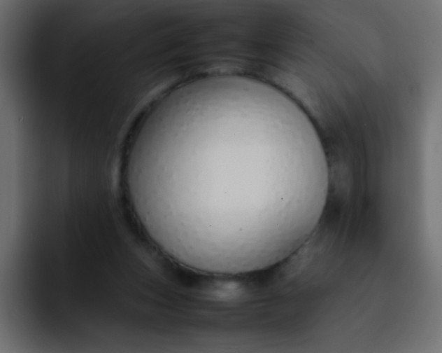 X0000092100159200710031218