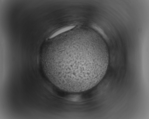 X0000092100161200710031218