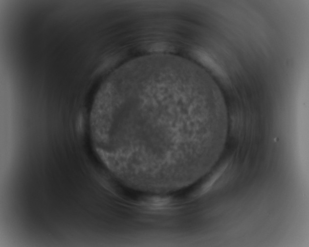 X0000092100165200710031218