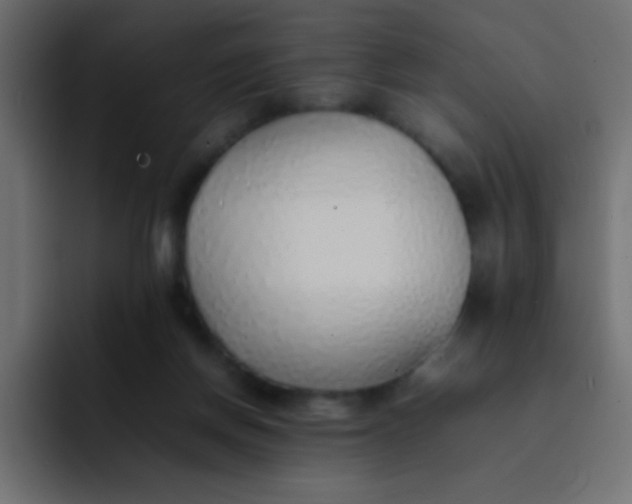 X0000092100166200710031218