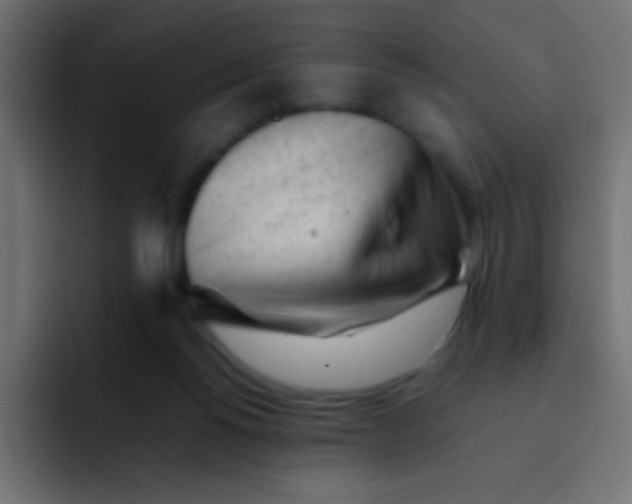 X0000092100168200710031218